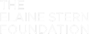 Elaine Stern Foundation