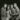 Gladys Knight And The Pips