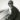 Stevie Wonder